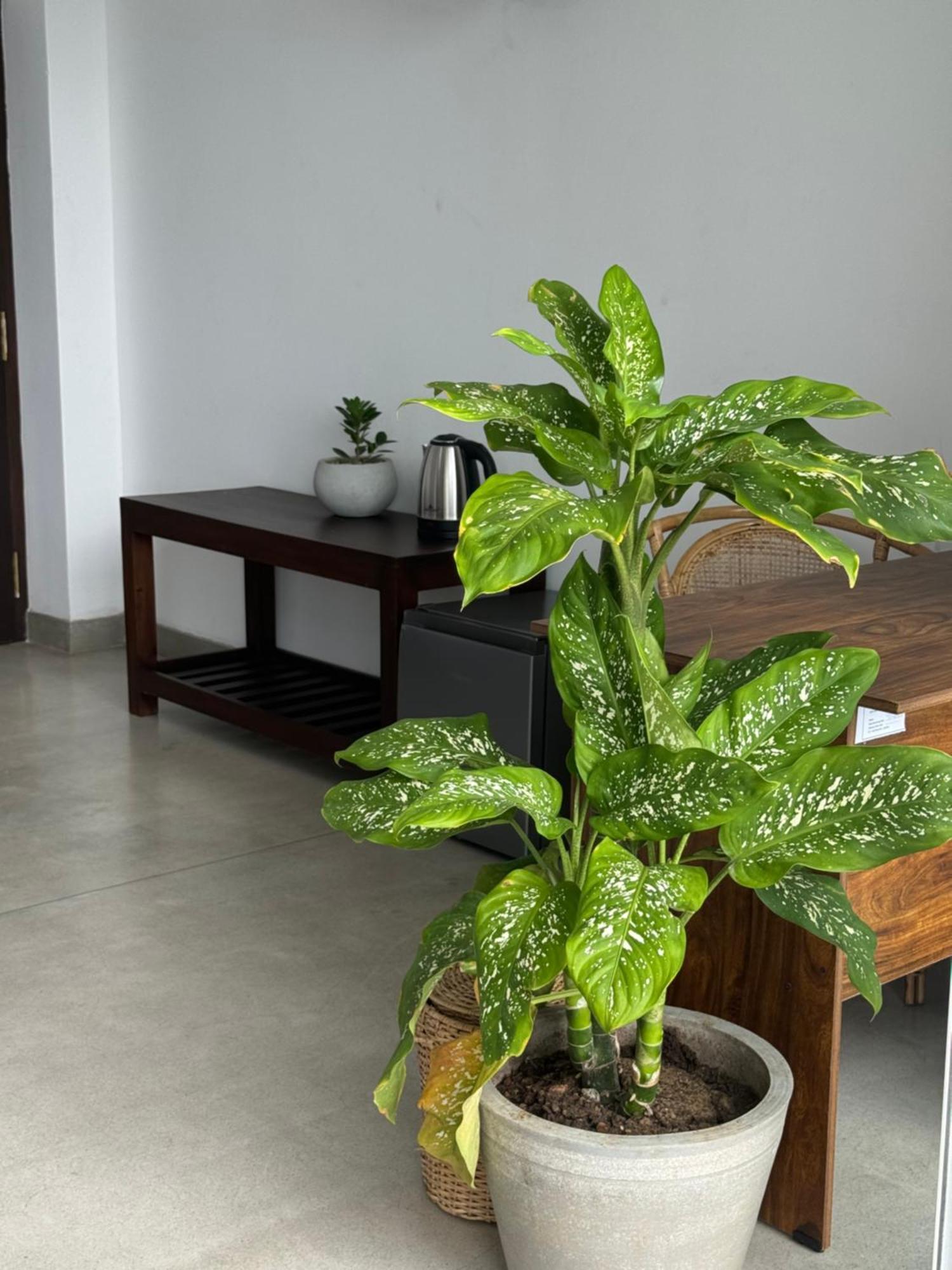 Sapiens Home - Weligama Bay Esterno foto