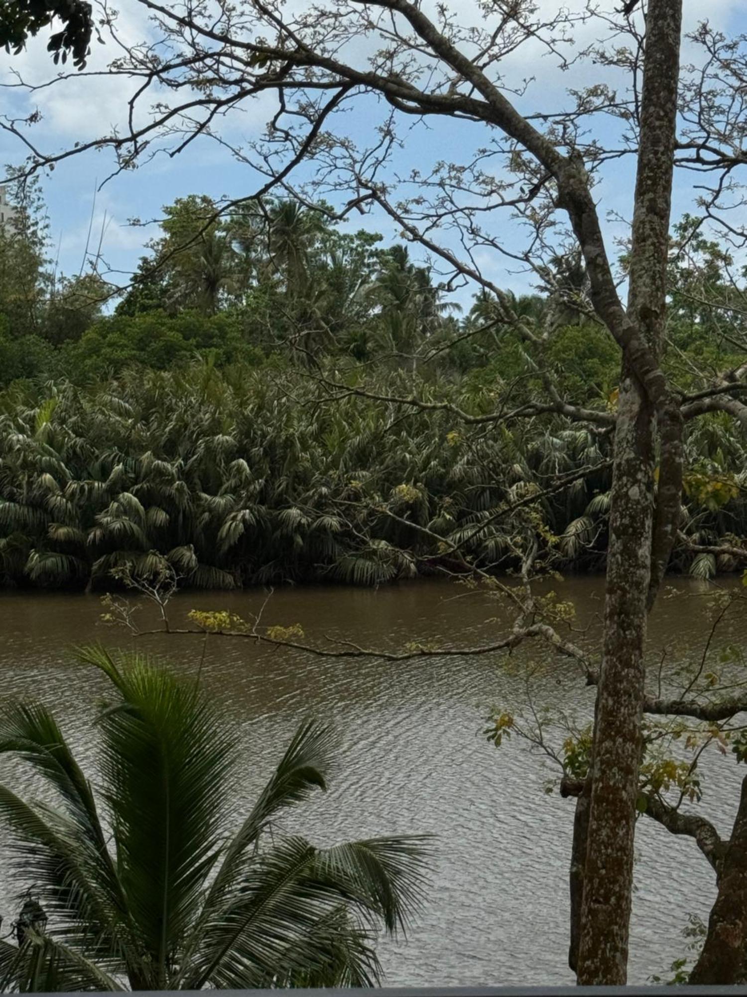Sapiens Home - Weligama Bay Esterno foto